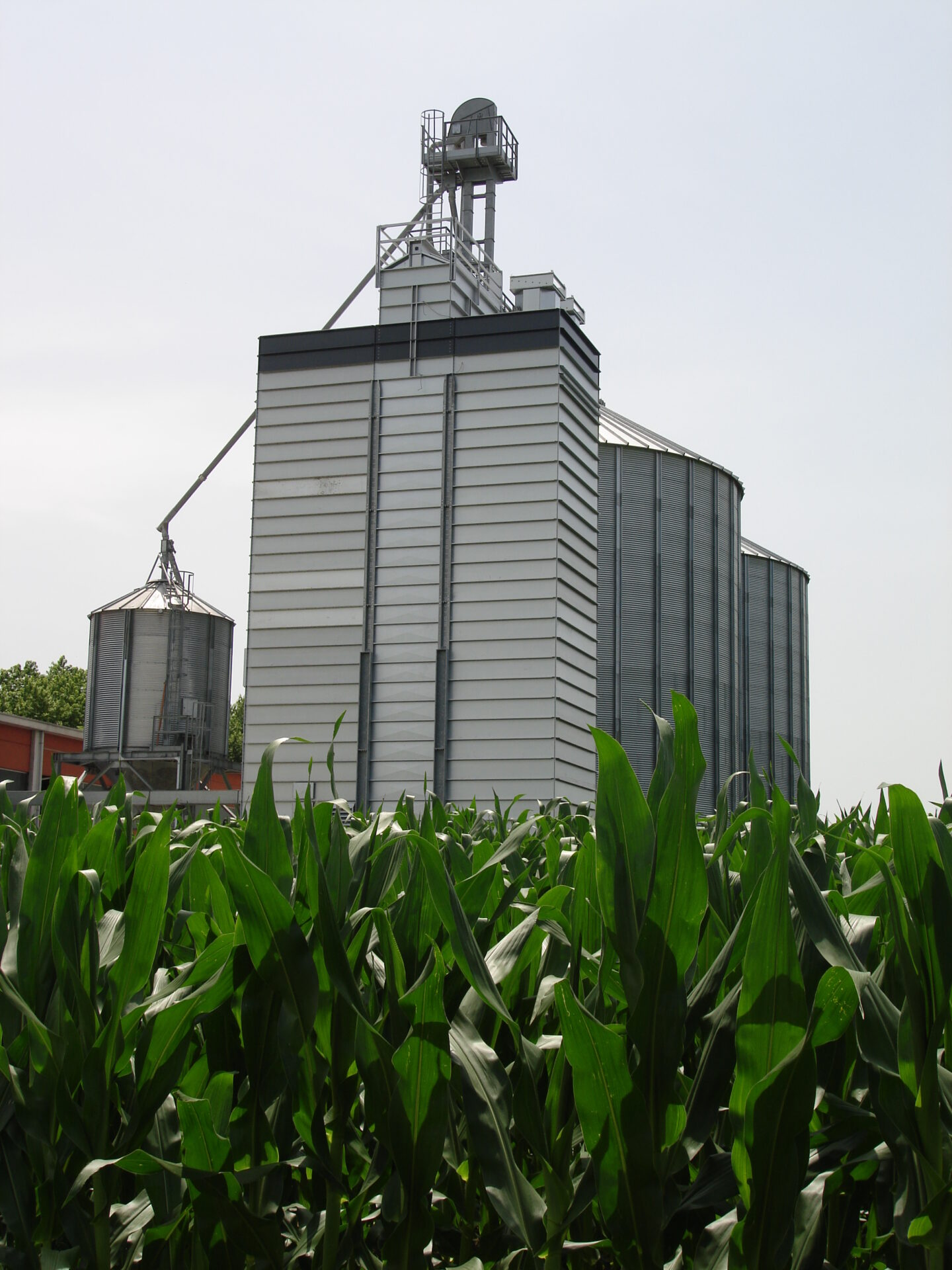 фото продукта